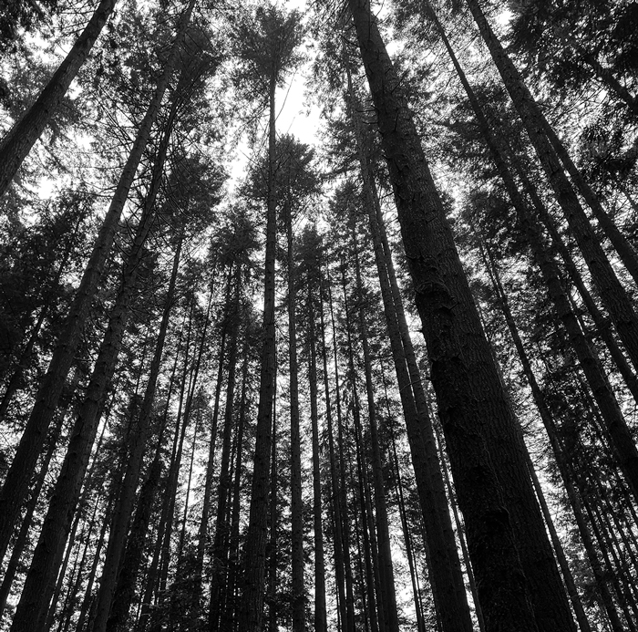 two people standing on the beach